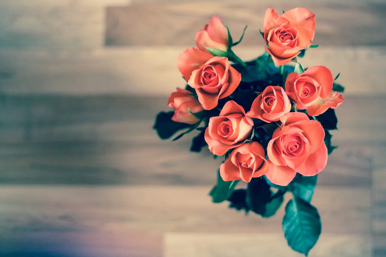 How To Use Rose To Make All Sorts Of Excellent Beauty Products — PHOTOS
