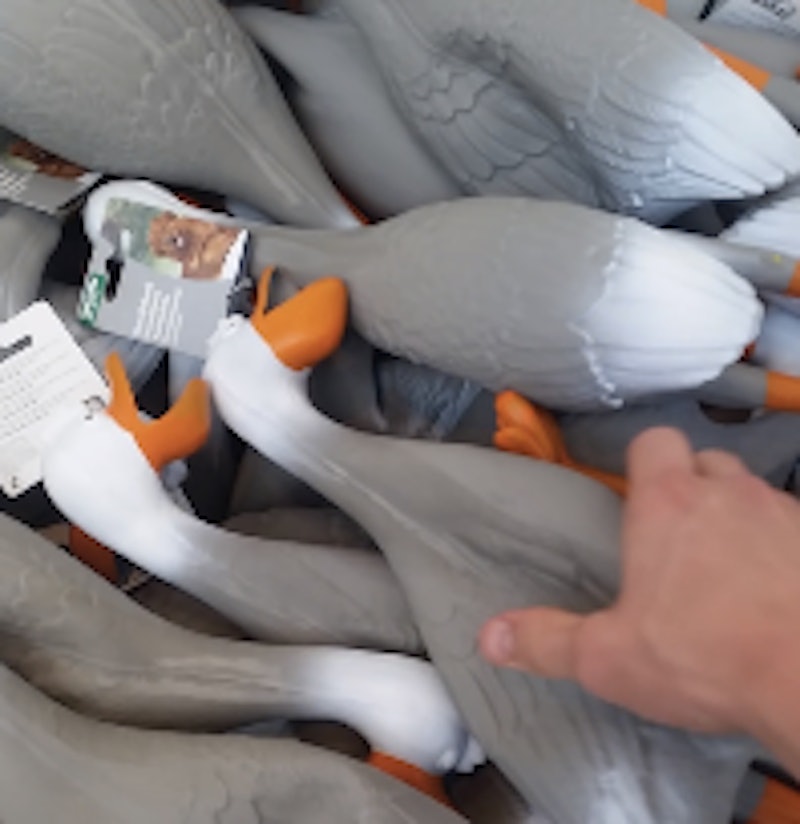 The Duck Army Vine Memes Prove We Are Not Responsible Enough To Internet Anymore Videos