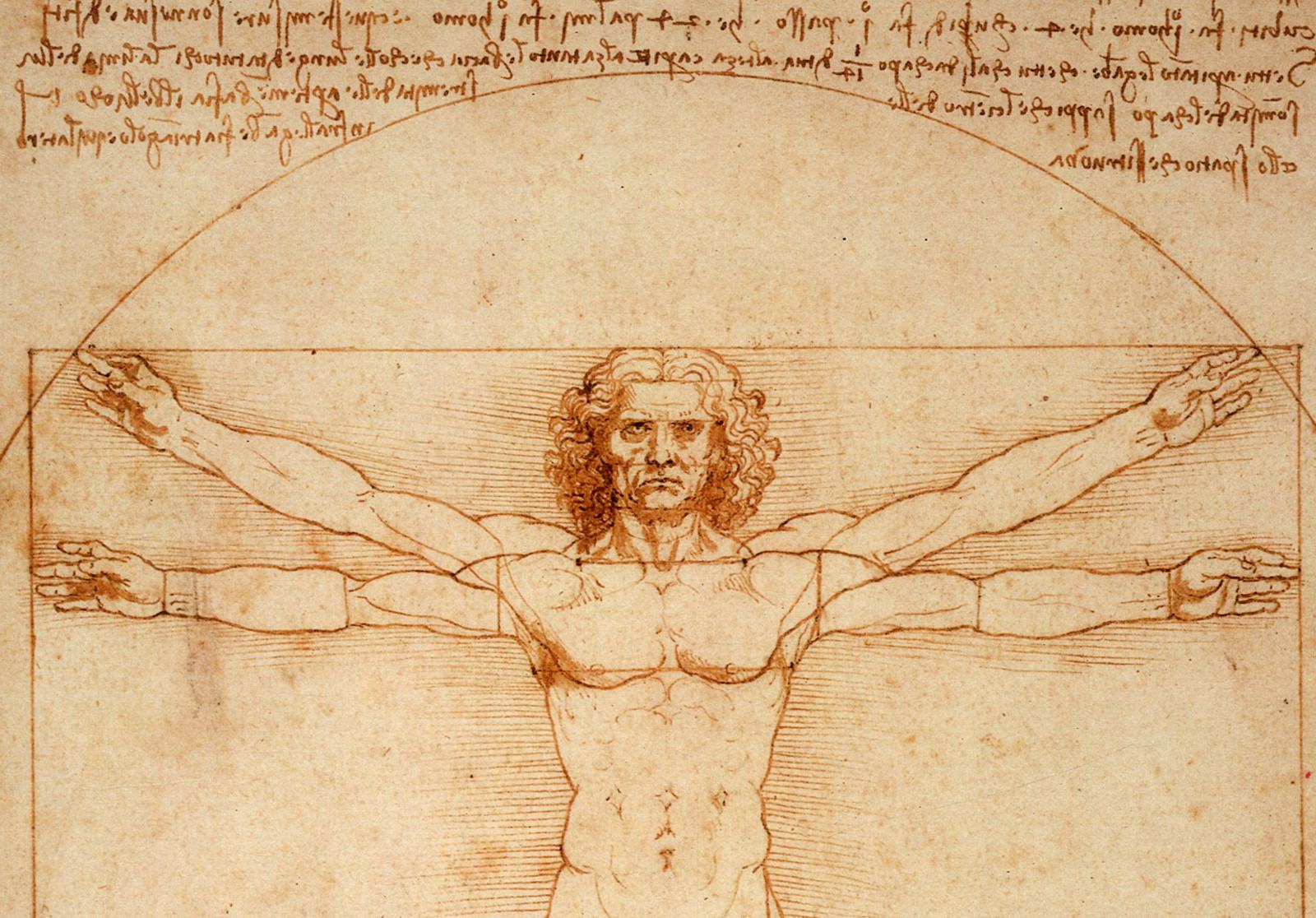 How Much Did Leonardo Da Vinci Sleep Not A Whole Lot According To how-much-did-leonardo-da-vinci-sleep-not-a-whole-lot-according-to