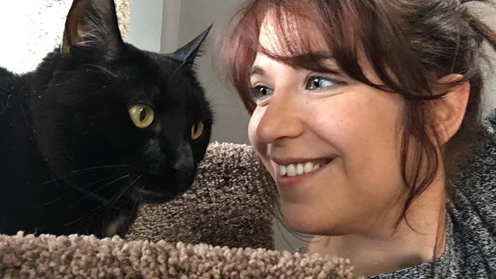 In Honor Of National Cat Day 10 Important Life Lessons I Ve