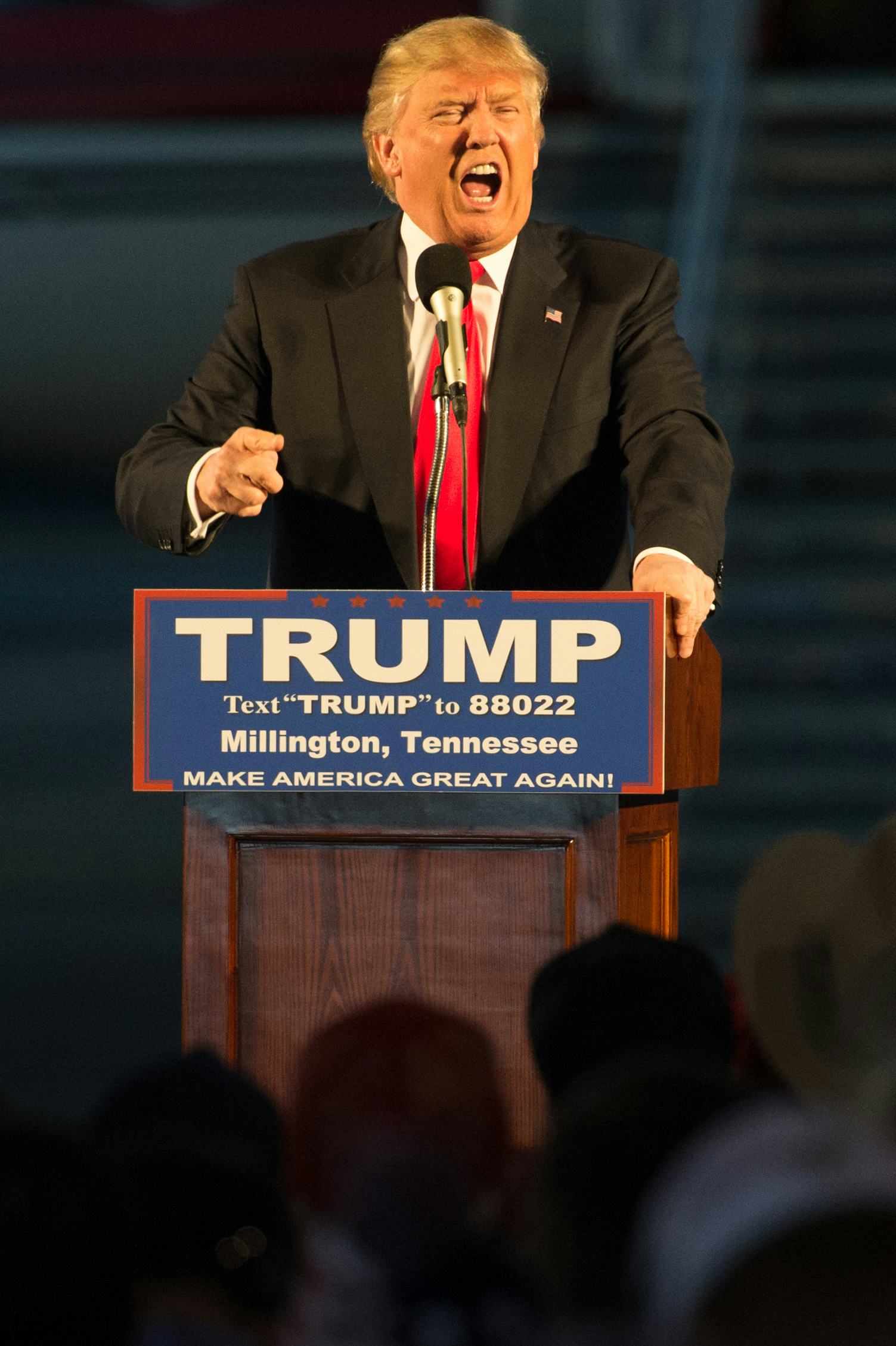 Why Did Donald Trump's Ancestors Change Their Name From ...