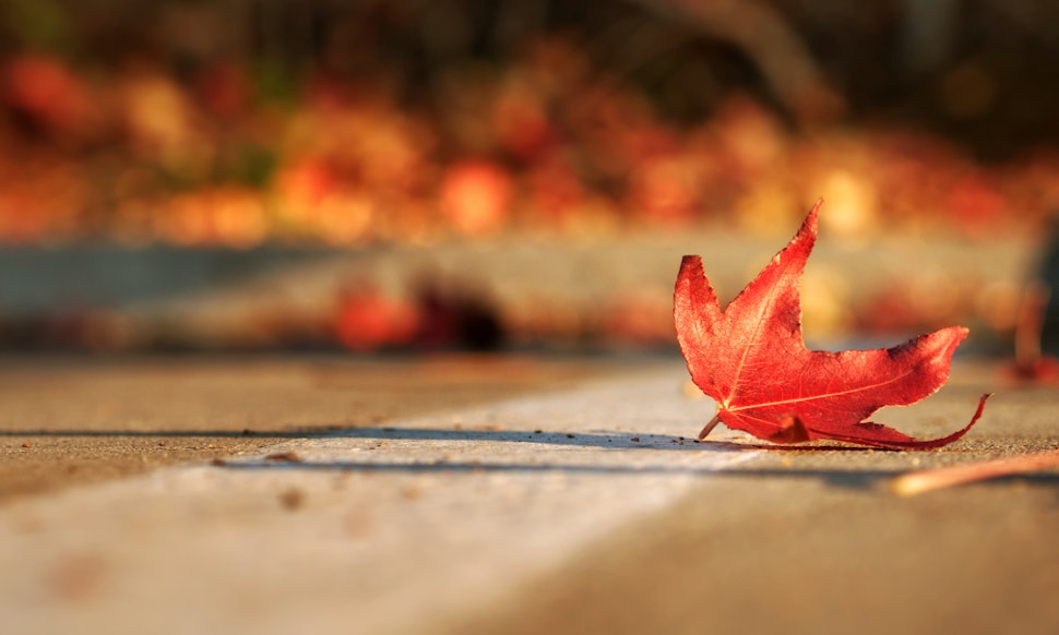 11 Ways To Enjoy Fall Even If You Live Someplace Where It Always Feels ...