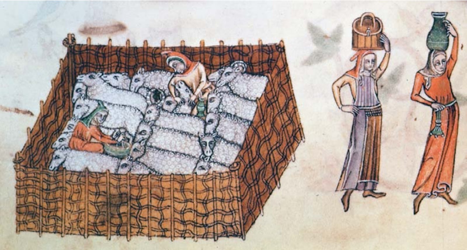 Овцеводство шерсть в Англии в средневековье