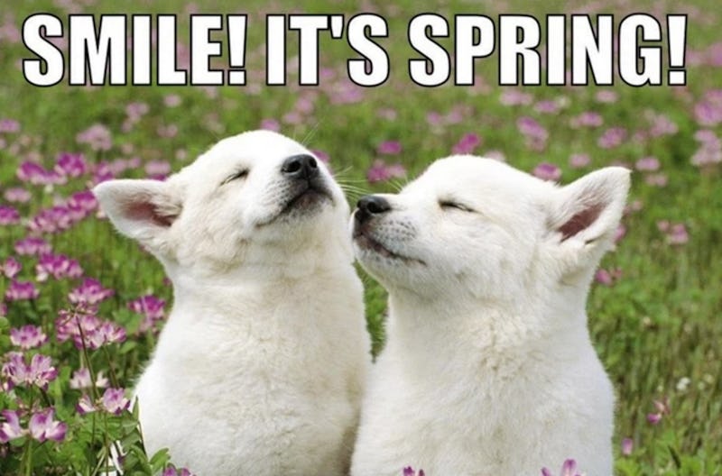 18 First Day Of Spring Memes So You Can Start The Season Off With A Laugh First Day Of Spring 2022 Meme