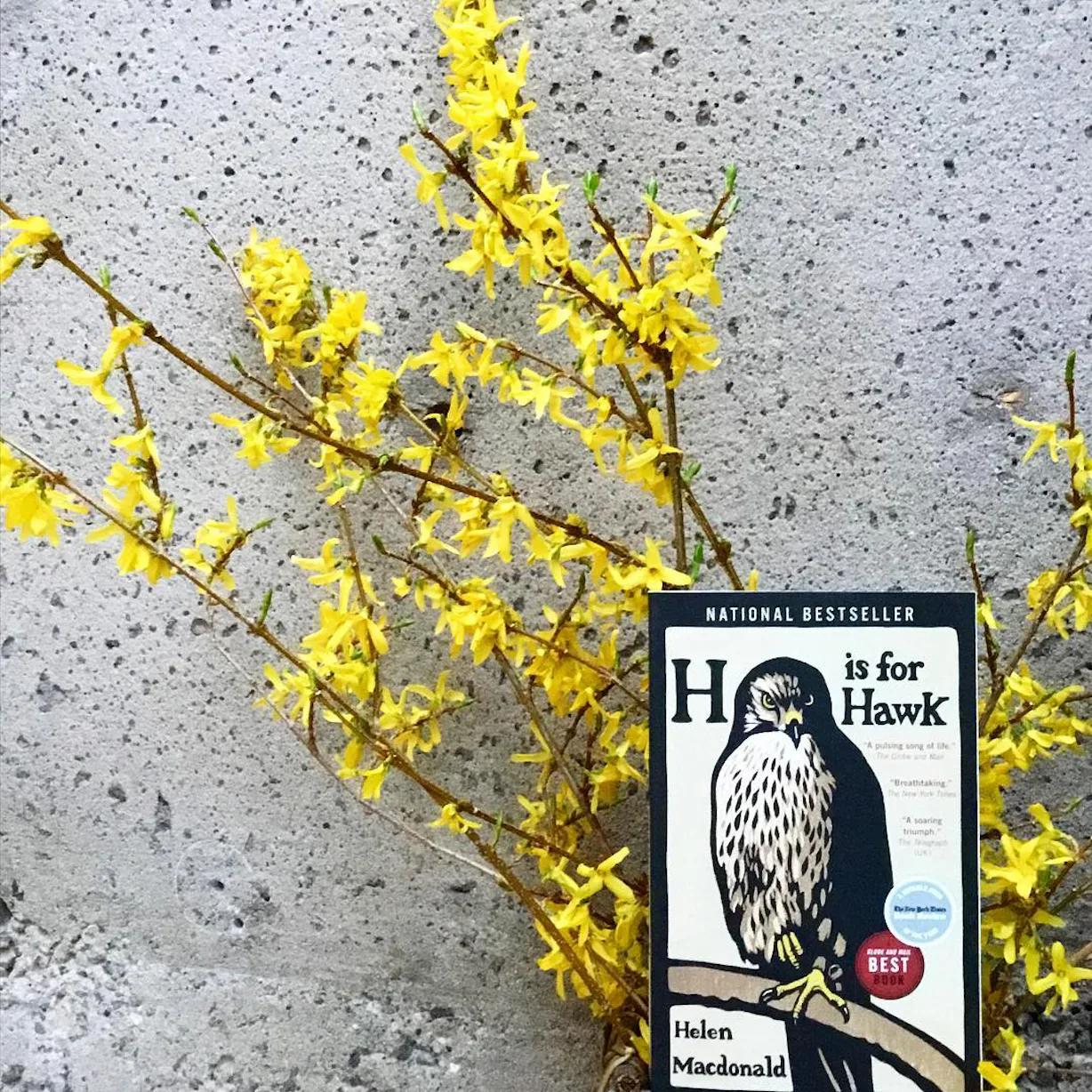 15 Beautiful Opening Lines From Literature All Wordsmiths Can Appreciate 15 Beautiful Opening Lines From Literature All Wordsmiths Can Appreciate