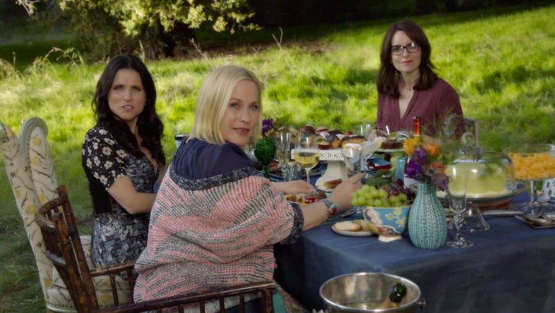 'Inside Amy Schumer' Has Tina Fey, Julia Louis-Dreyfus, & Patricia ...