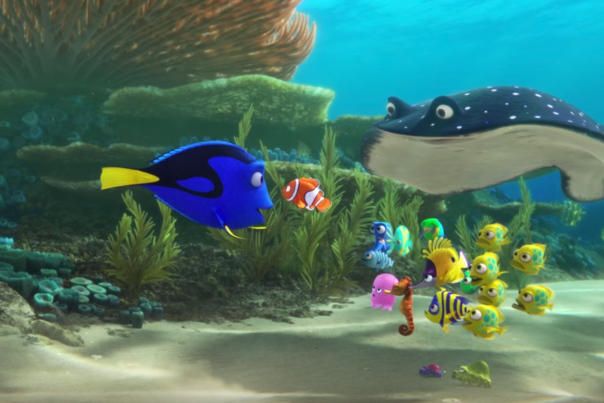 Finding Nemo' Set the Standard for How We See the Ocean on Film