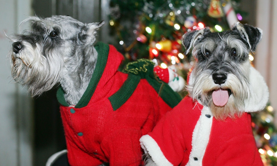 Things to do the day after christmas Things to Do in Christmas, Florida: See TripAdvisor's 2, traveler reviews and photos of Christmas tourist attractions. Find what to do today, this weekend, or in December. We have reviews of the best places to see in Christmas. Visit top-rated & must-see attractions.