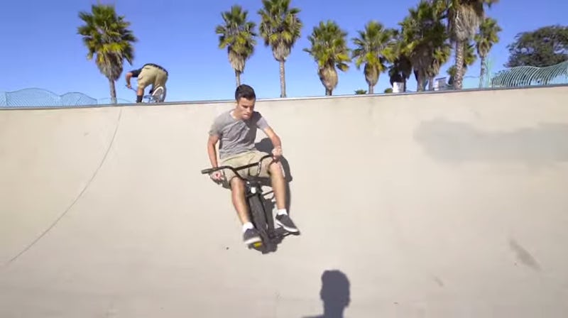Shark top tank tricycle