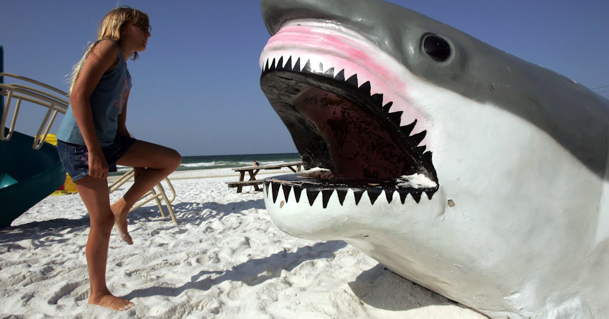 8 Крупнейших АКУЛ, Когда-либо Живших на Земле - смотреть видео онлайн от "Профес