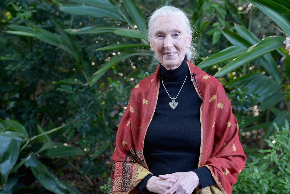 Jane Goodall "Feels Sorry" For Cincinnati Zoo
