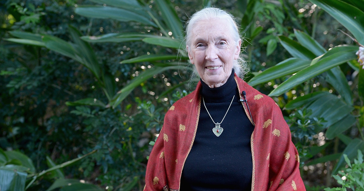 Jane Goodall "Feels Sorry" For Cincinnati Zoo