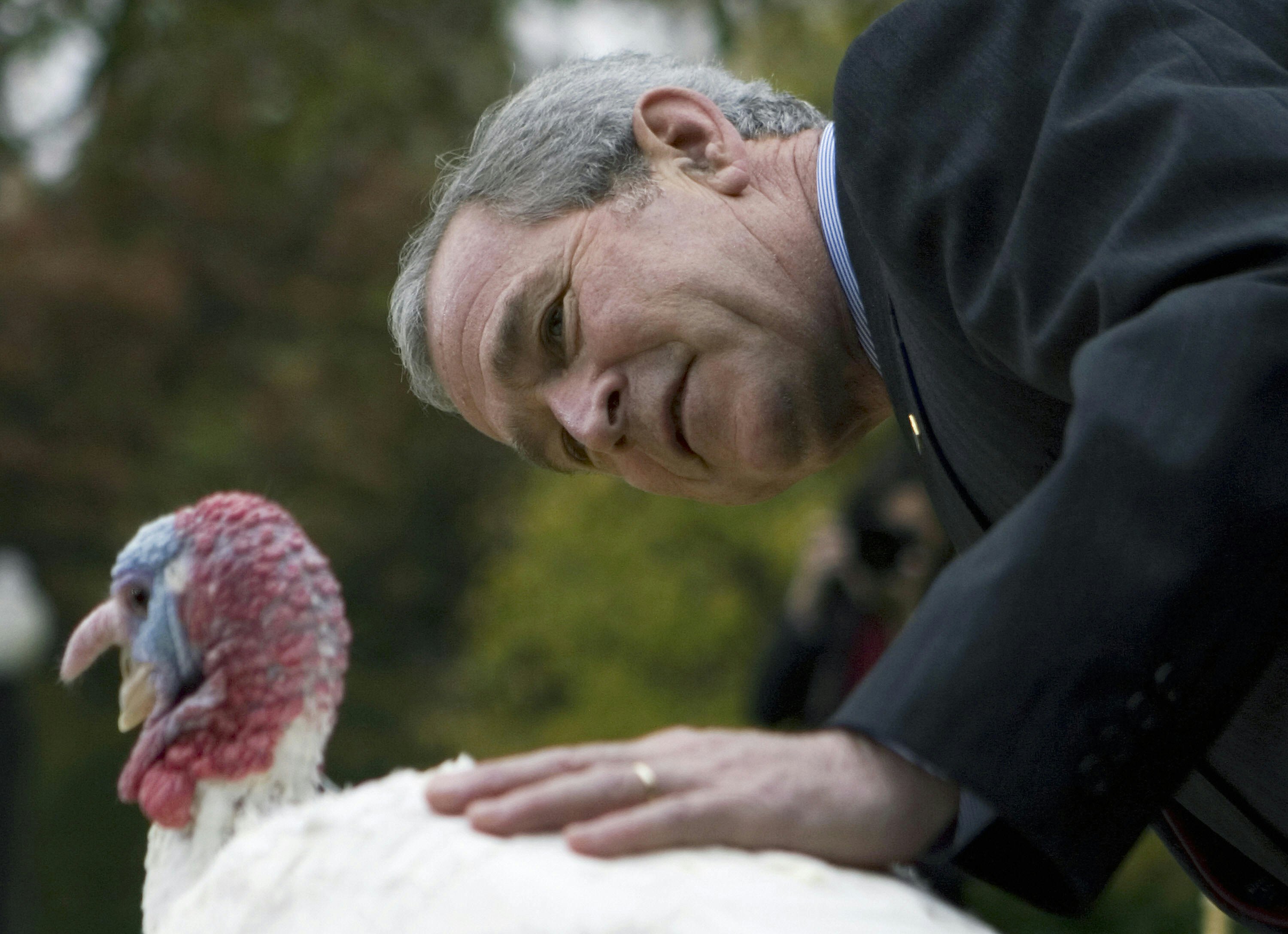 weird white house pets