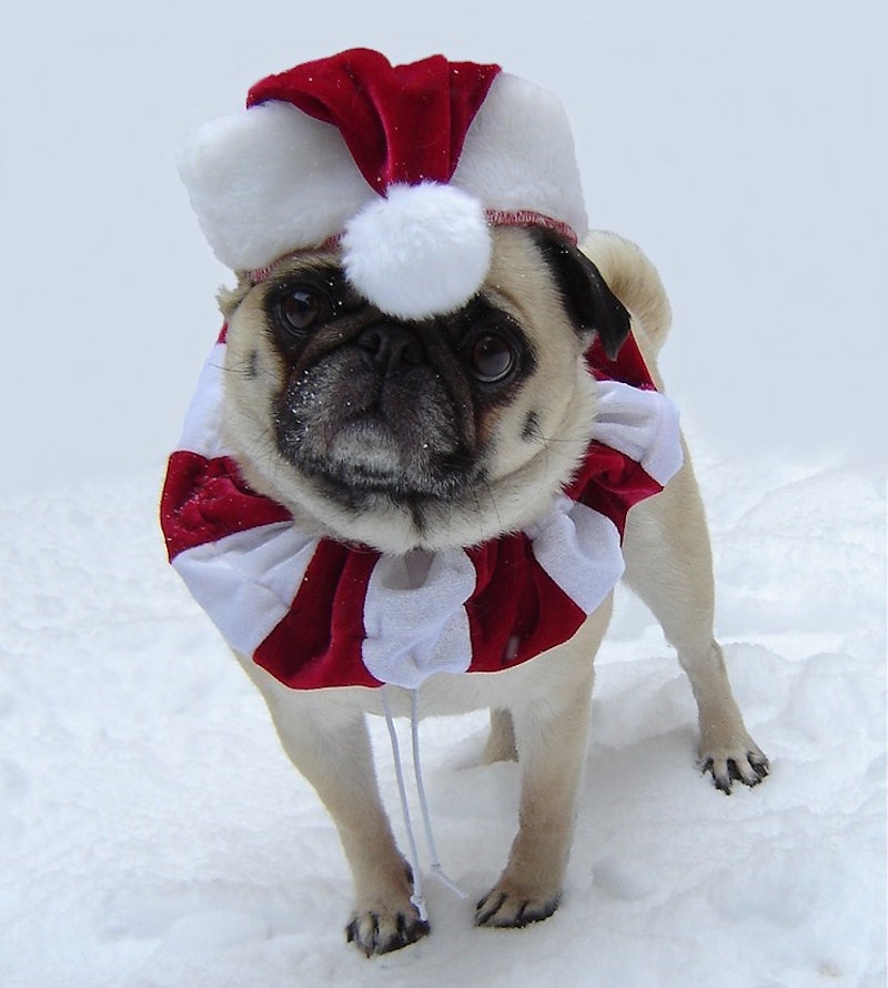 13 Funny Holiday Quotes To Keep You Laughing Through All The Seasonal Stress