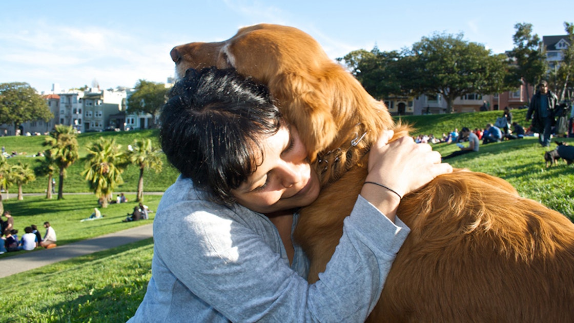 9 Animal Memoirs That Prove Critters Can Heal All Kinds Of Heartache