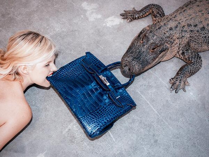 Tyler Shields Fed a Crocodile Birkin Bag to An Alligator in the Name of Art