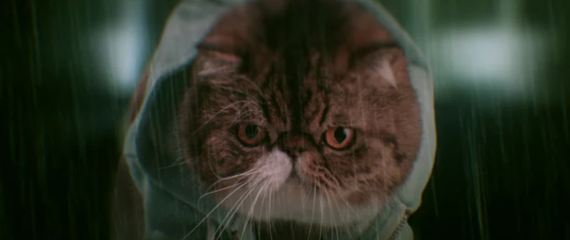 Keanu S All Cat Spoof Trailer Is Probably The Best Thing You Ll See All Day Video
