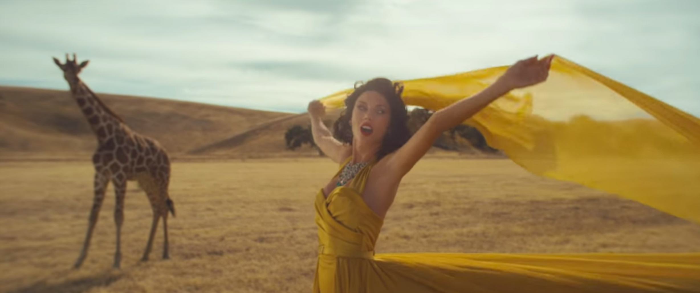 The Giraffe From Taylor Swift's "Wildest Dreams" Music Video Tells Us ...