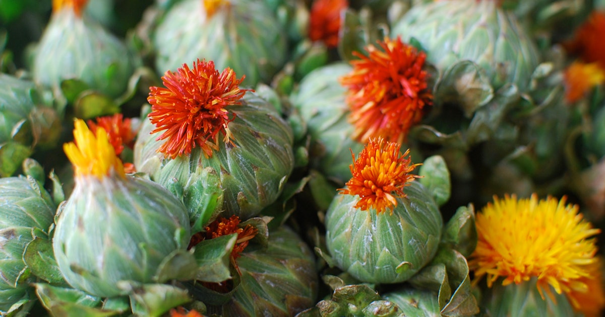 These Safflower Oil Benefits For Hair And Skin Will Make Your