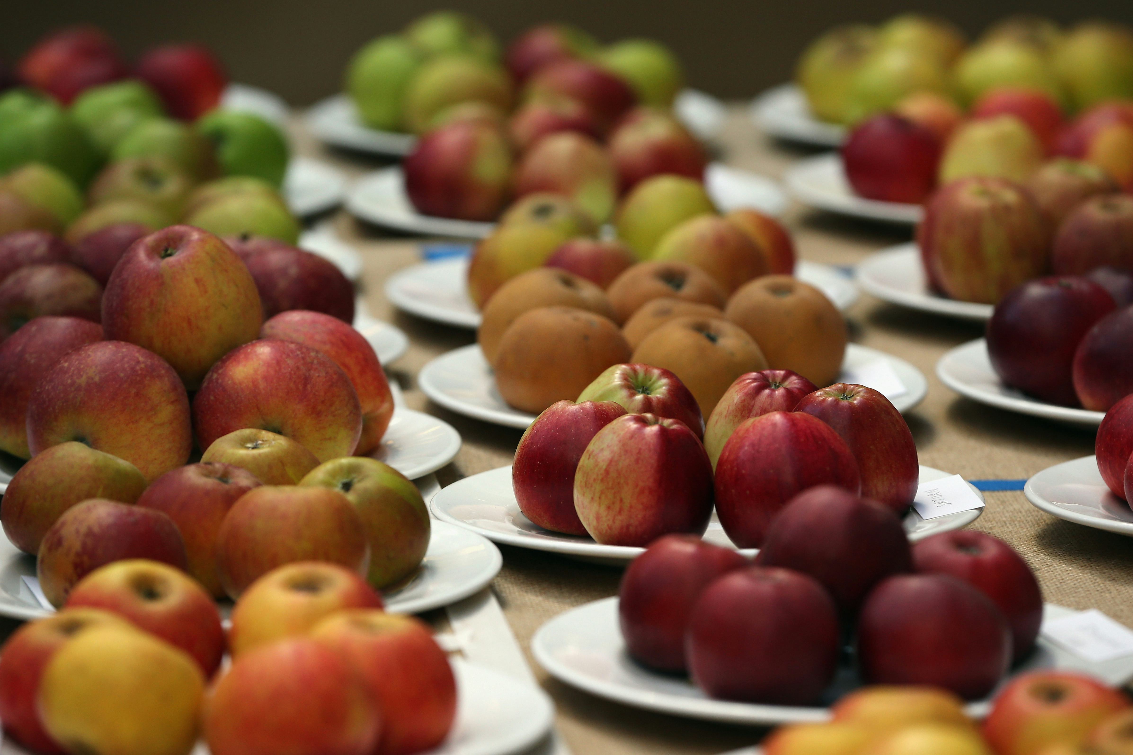 The Huge Apple Recall By Bidart Bros Is Why You Should DoubleCheck