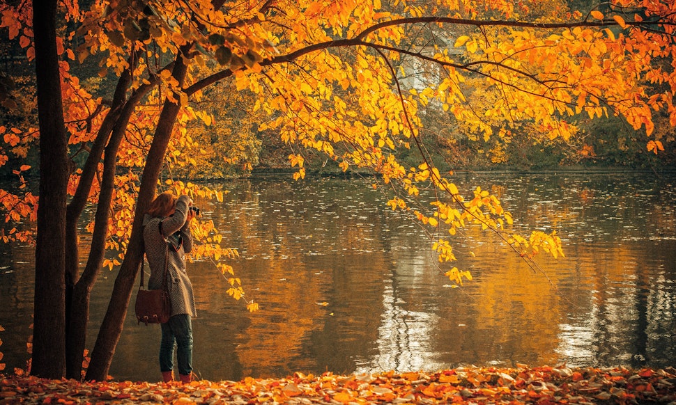 Can't Wait For Fall To Arrive? 8 Signs That Autumn Is Definitely Your