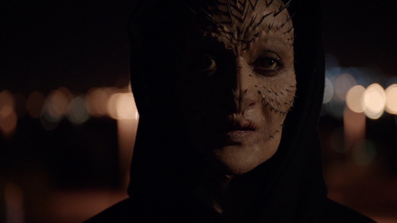 Does Raina Have Quills On Agents Of S H I E L D Her New Features Could Point To Her Marvel Identity