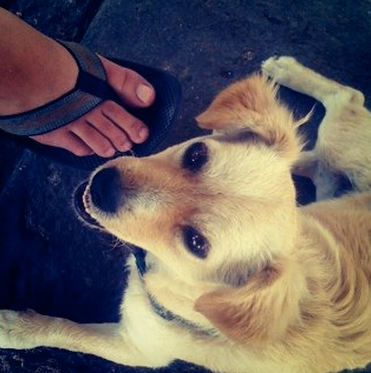 Instagram Founder Kevin Systrom s First Post To The Site Is Not What instagram-founder-kevin-systrom-s-first-post-to-the-site-is-not-what