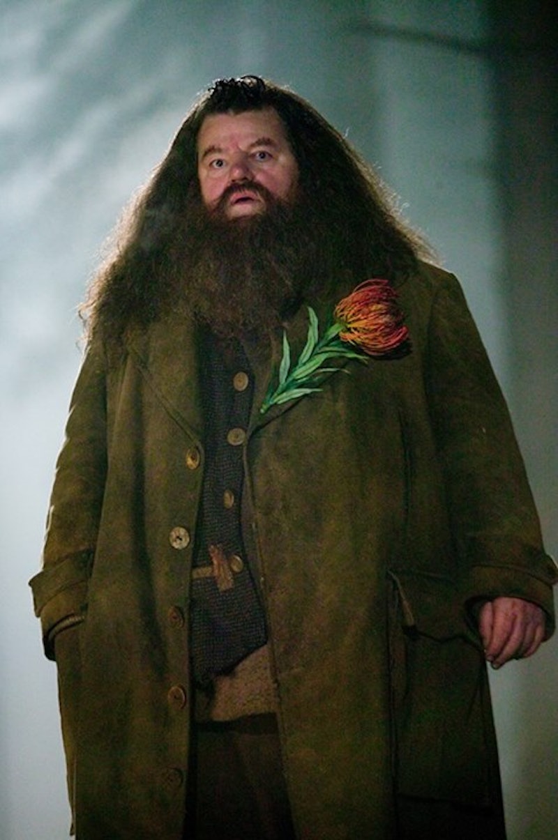 J.K. Rowling's 'Harry Potter' Character Hagrid Has a Sadder Story Than We  Realized