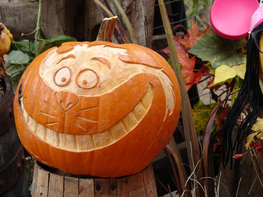 mockingjay pumpkin stencil