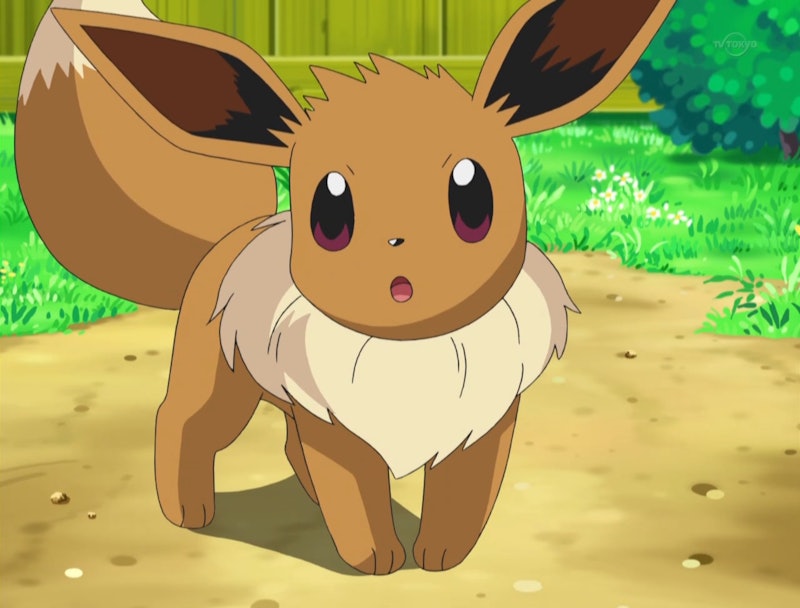 these are probably all the eeveelutions  Pokemon eevee evolutions, Eevee  evolutions, Pokemon eeveelutions