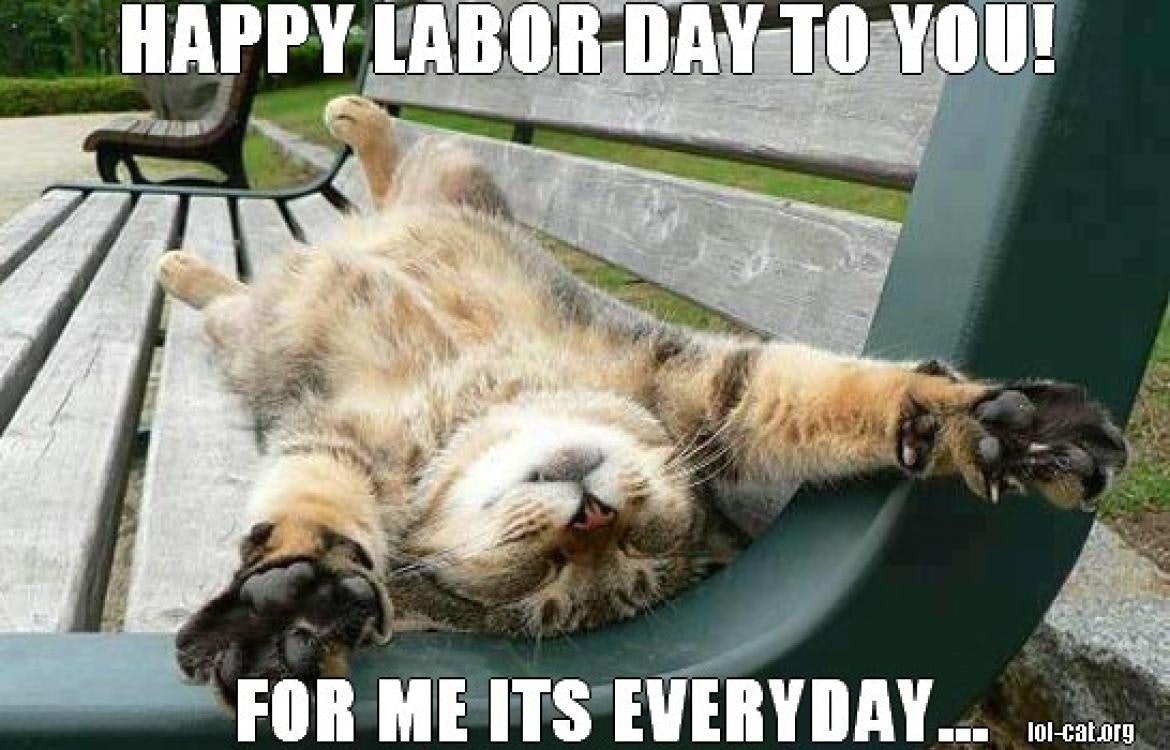 7 Funny Labor Day Memes That Will Keep You Laughing All Weekend Long