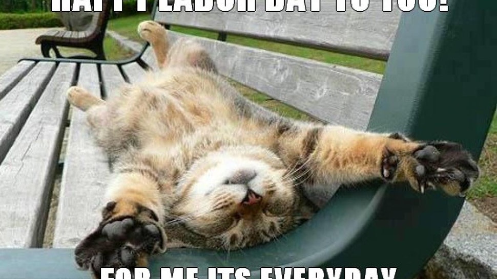 Funny Labor Day Memes Meme Baby