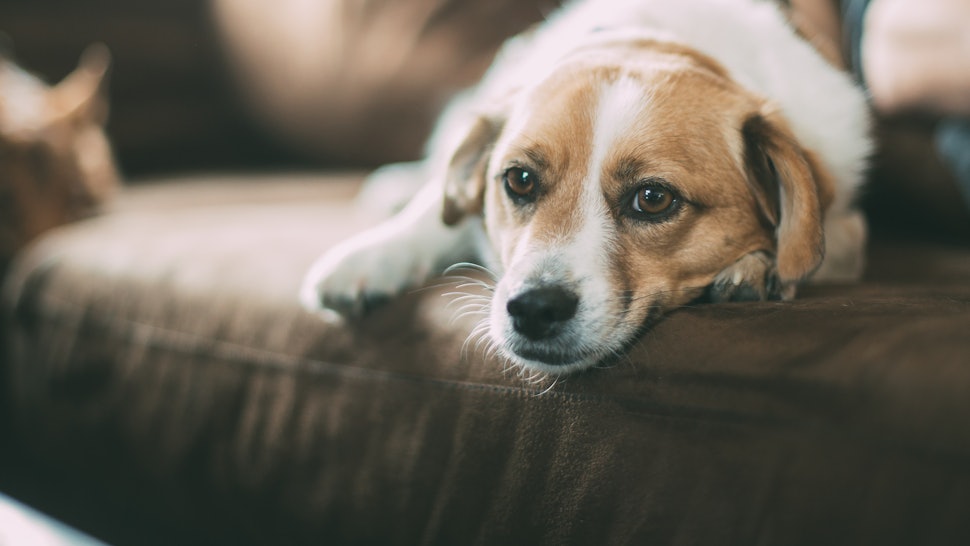 can allergies make you queasy