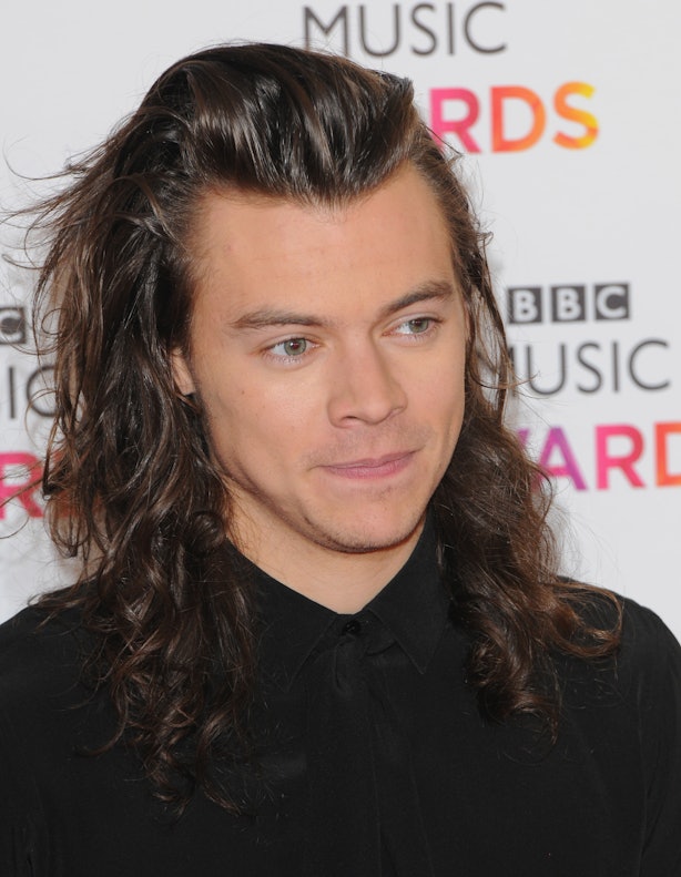 Is Harry Styles’ New Hair A Permanent Look? What We Can Expect When He