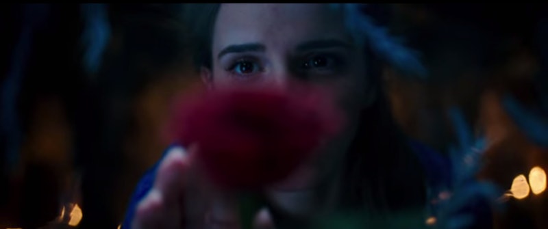 13 Beauty And The Beast Trailer Memes Jokes That Perfectly Describe Your Feels