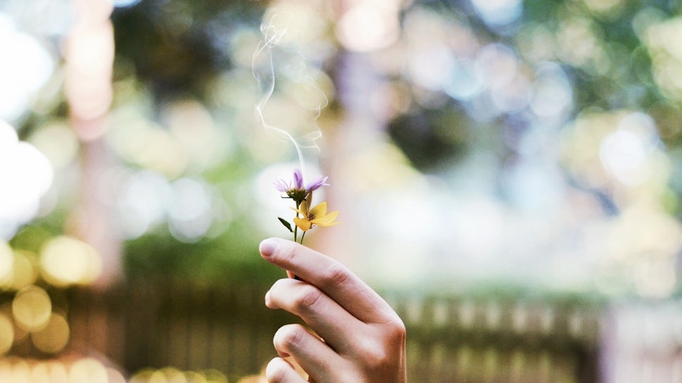 How Does Marijuana Affect Pregnancy & Fertility? How Does Marijuana Affect Pregnancy & Fertility?