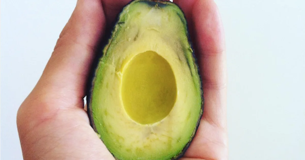 Mini Avocado These Miniature Avocados Are Too Precious For Your Eyeballs