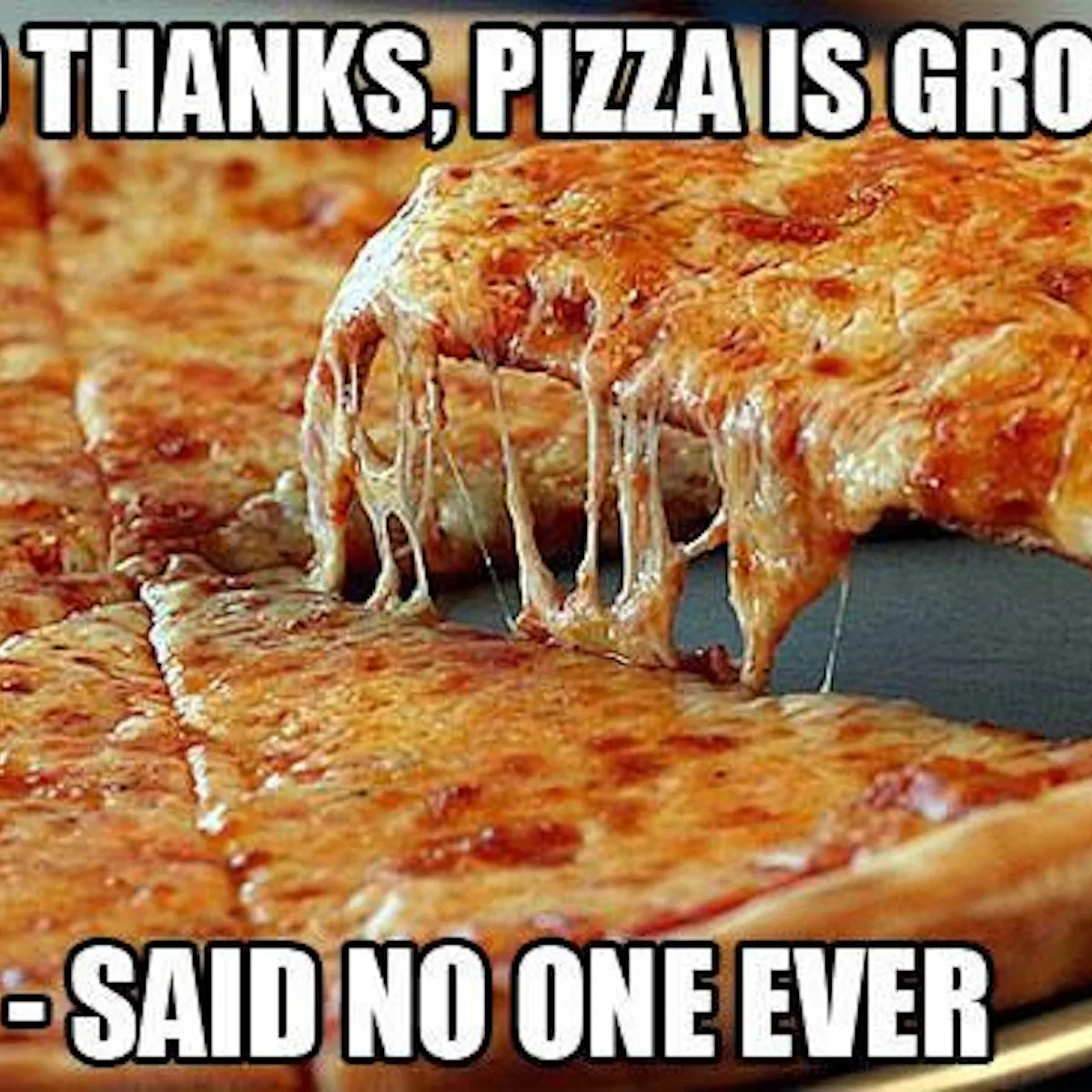 Pizza Random Meme 8 Pizza Memes For National Pizza Day That Appropriately