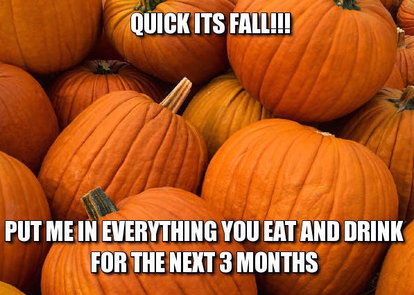 12 Fall Memes That Will Get You Ready For Your Favorite Season   D8612566 B798 4ba5 A6bf Ac06c823a3f7 