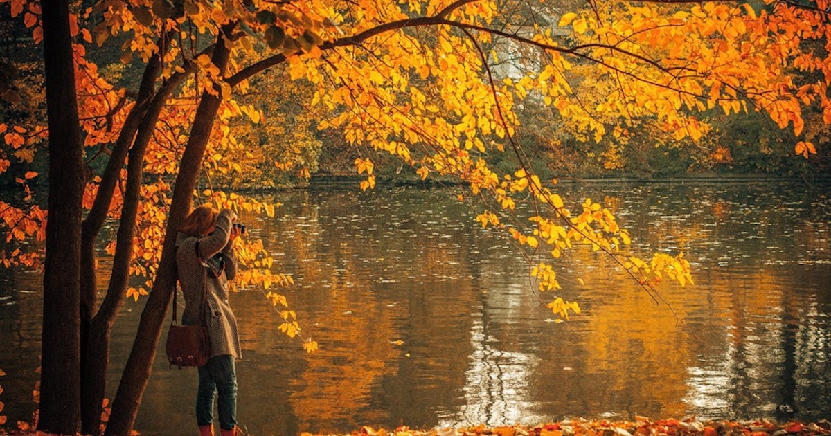 10 Fall Quotes About Leaves That Will Make You Want To Jump In A Pile Of Them