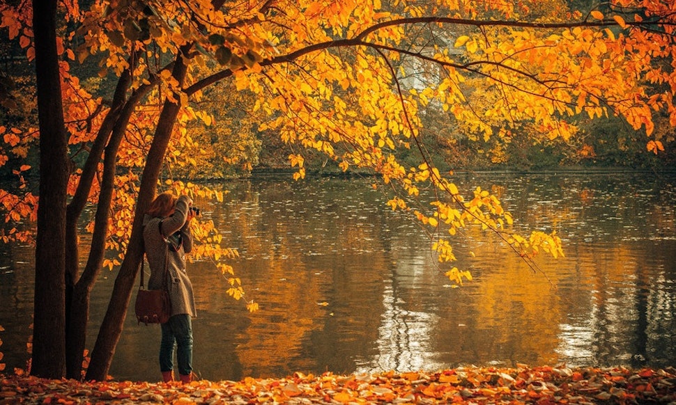 Fall Quotes Delectable 48 Fall Quotes About Leaves That Will Make You Want To Jump In A Fall Quotes Delectable 48 Fall Quotes About Leaves That Will Make You Want To Jump In A