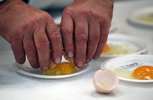 Can Bad Eggs Give You Food Poisoning Can Bad Eggs Give You Food Poisoning
