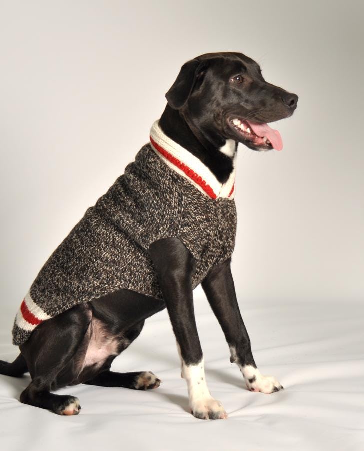 13 Dog Sweaters To Keep Your Best Friend Warm This Winter