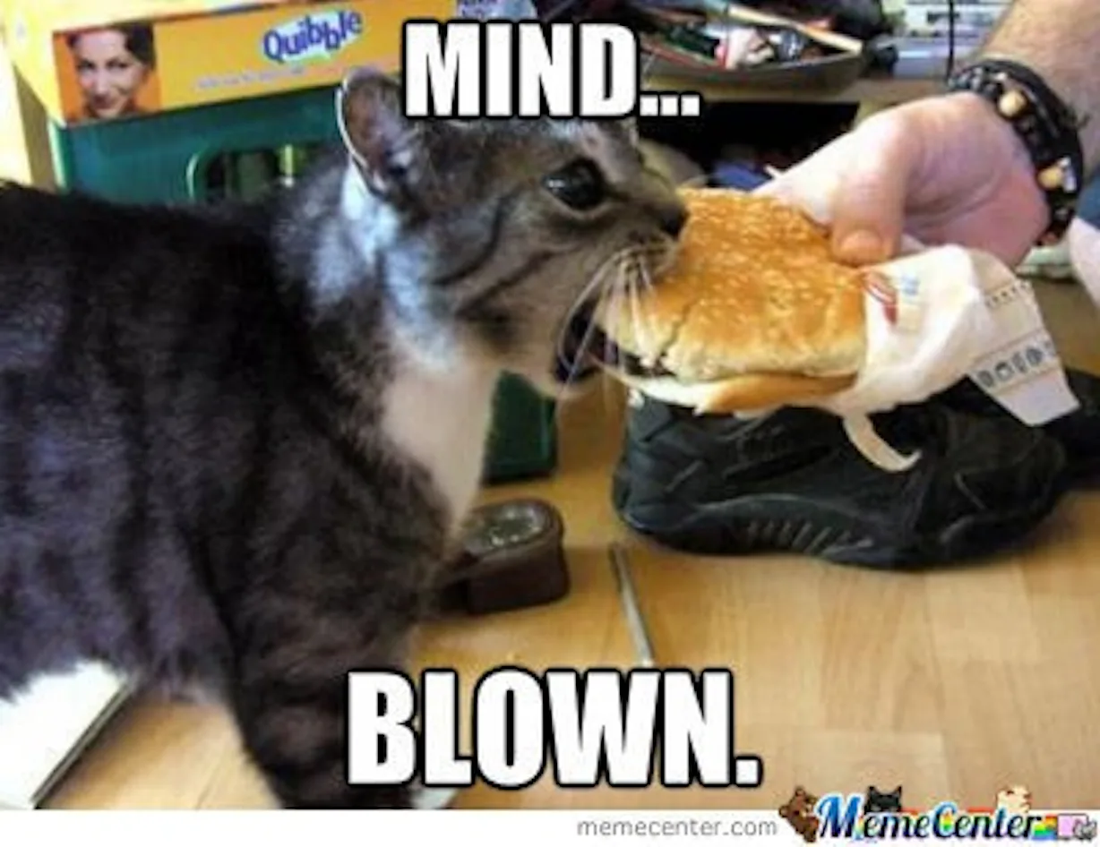 cheeseburger offereings?