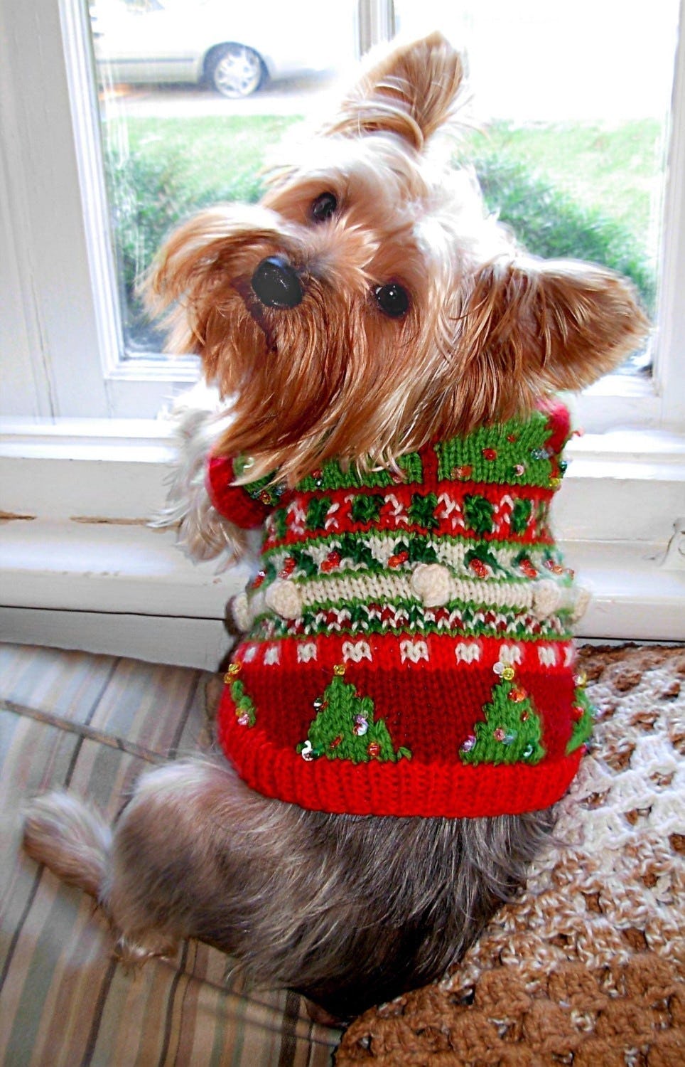 13 Dog Sweaters To Keep Your Best Friend Warm This Winter