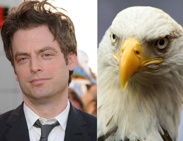 6 Attractive Actors Who Look Like Birds Because I Cant Be The Only One