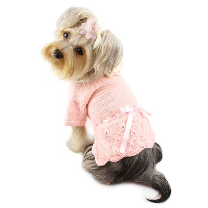 13 Dog Sweaters To Keep Your Best Friend Warm This Winter