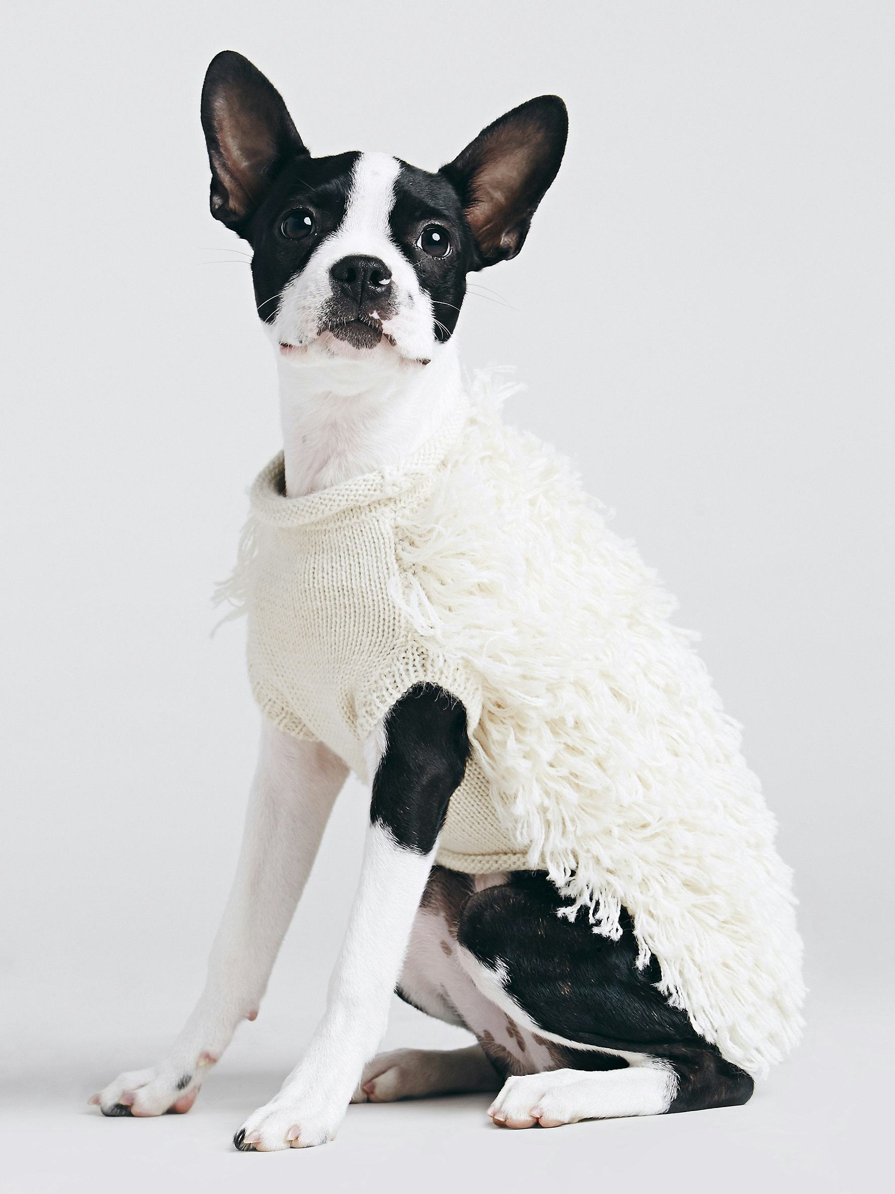 13 Dog Sweaters To Keep Your Best Friend Warm This Winter