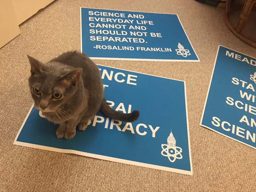Science Thinking Sign 21 Creative March For Science Sign Ideas To Jump Start Your Imagination