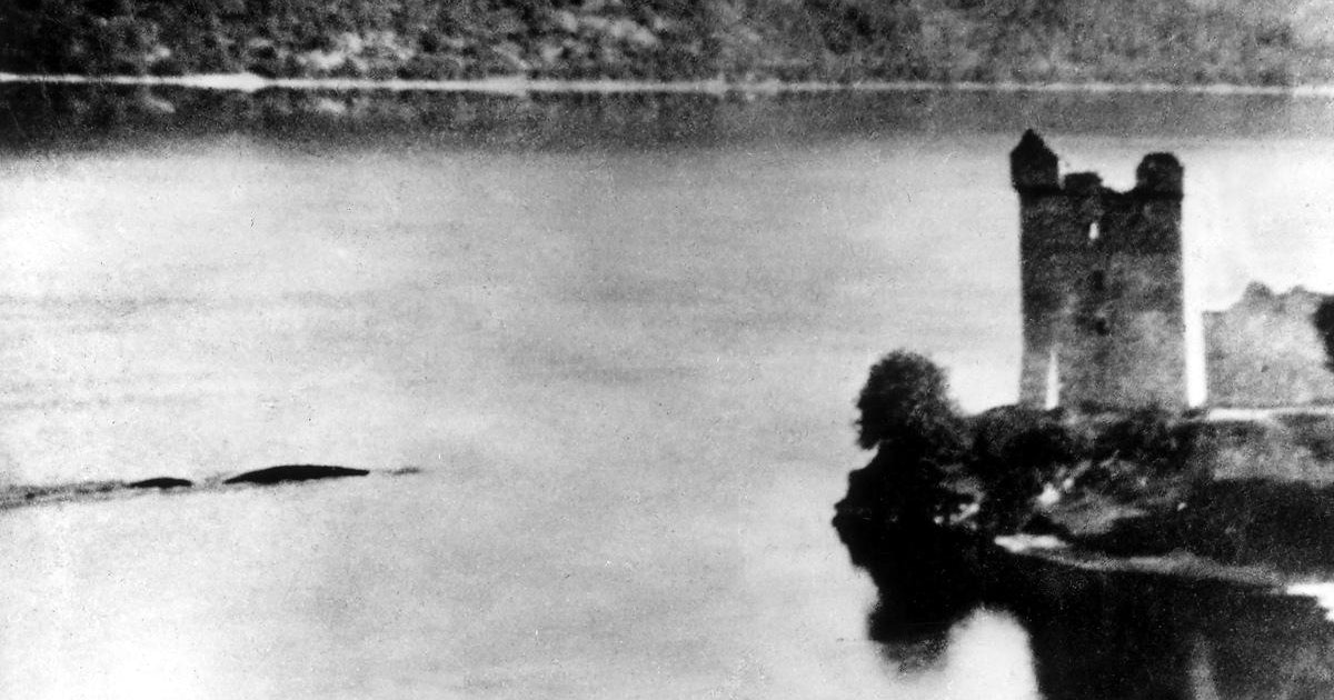 Afficher l’image source